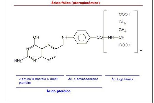 acido-folico-ideal-para-aumentar-la-probabilidad-de-embarazo
